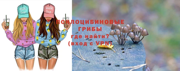 spice Аркадак