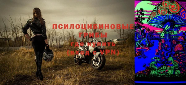 индика Армянск