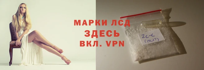 индика Армянск