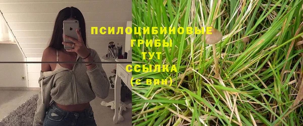 индика Армянск
