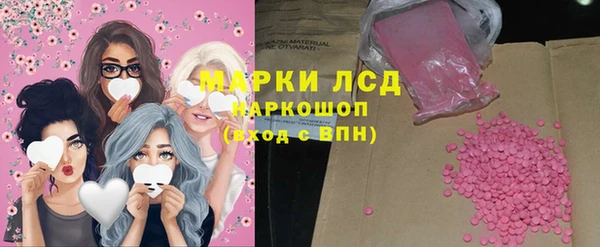 spice Аркадак