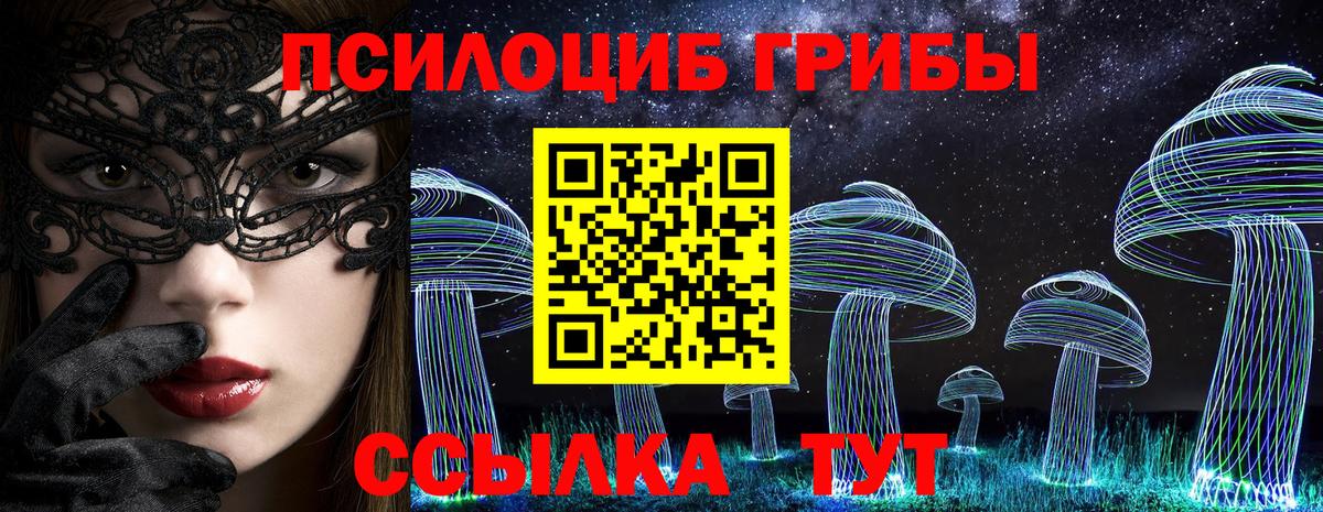 Псилоцибиновые грибы прущие грибы  Вход с VPN  хочу наркоту  Балтийск 