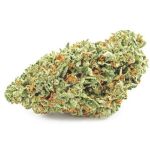 Шишки OG Kush  (Гидропоника, бошки) VHQ в Балтийске 